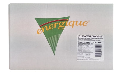 Energique Nr 2 Puppy