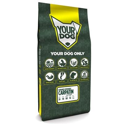 Yourdog Ciobanesc Romanesc Carpatin Volwassen