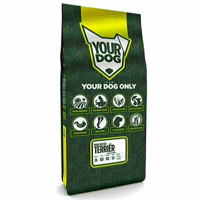 Yourdog Manchester Terriër Volwassen