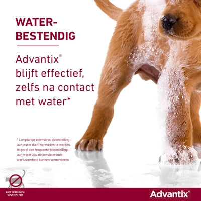 Bayer Elanco Advantix Spot On