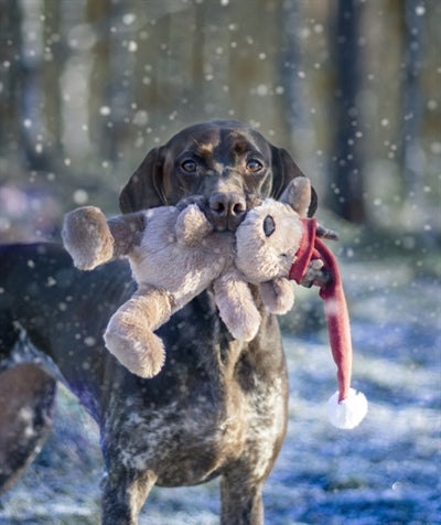 Cupid & Comet Kerstbeer Brad