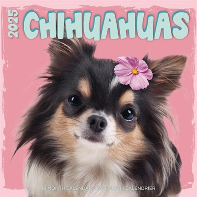 Merkloos Kalender Chihuahua Studio 2025