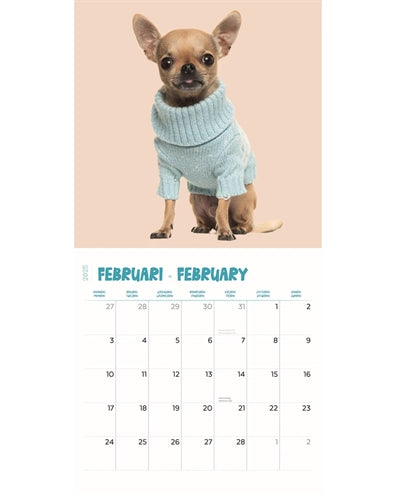 Merkloos Kalender Chihuahua Studio 2025