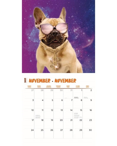 Merkloos Kalender Crazy Dogs 2025