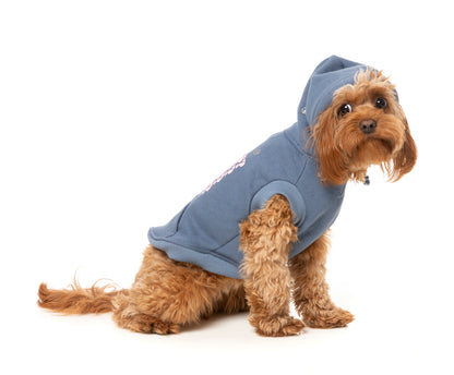 Hoodie Treats blue