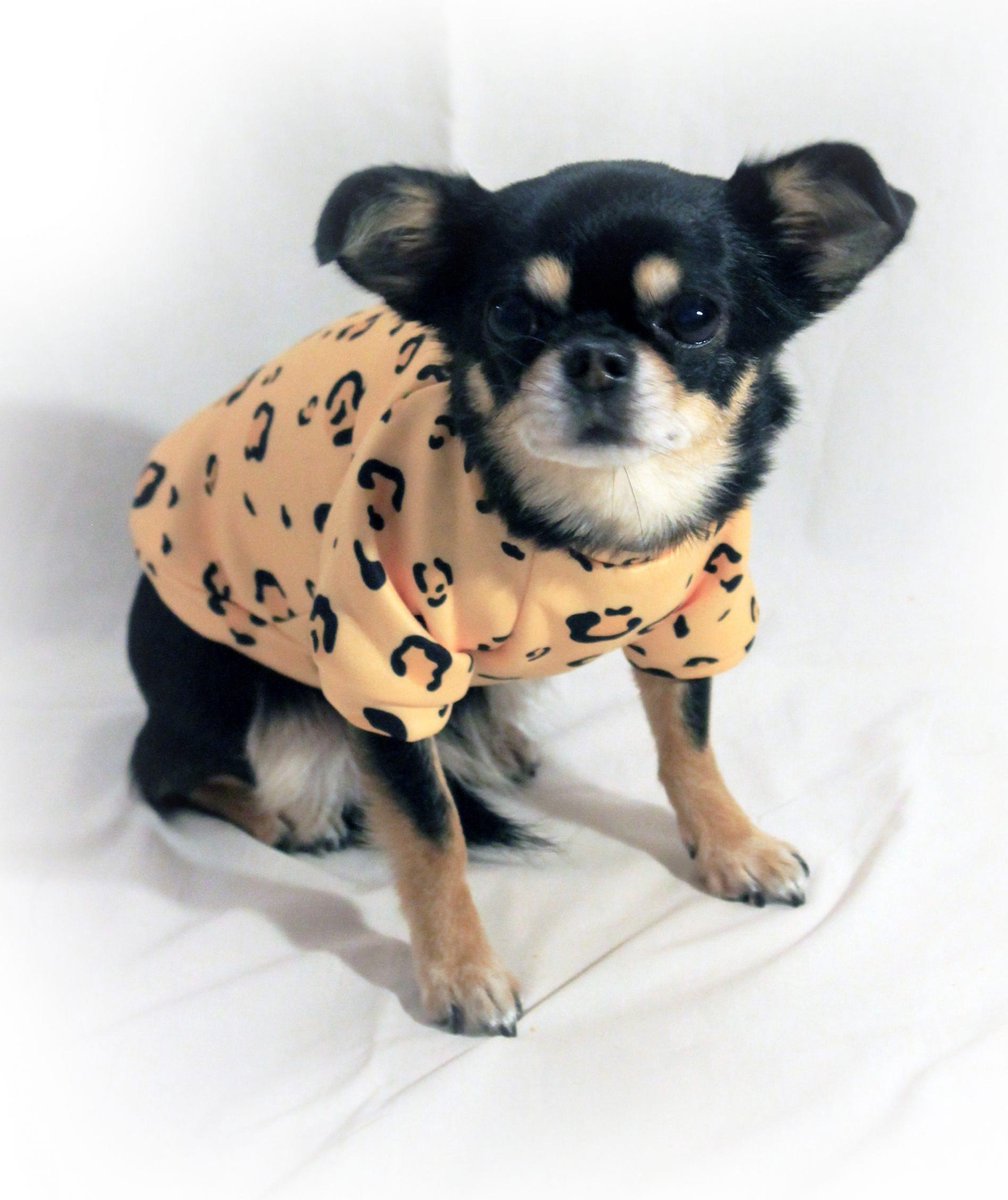 Dog sweater yellow with leopard print