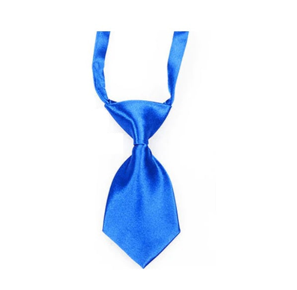 Tie for small dogs - Blue