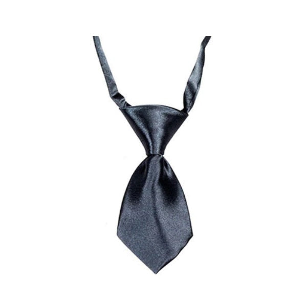 Small Dog Tie - Dark Grey