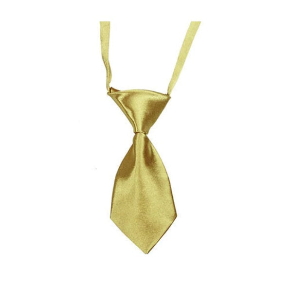 Small Dog Tie - Gold