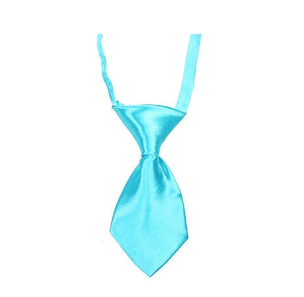 Small Dog Tie - Light Blue