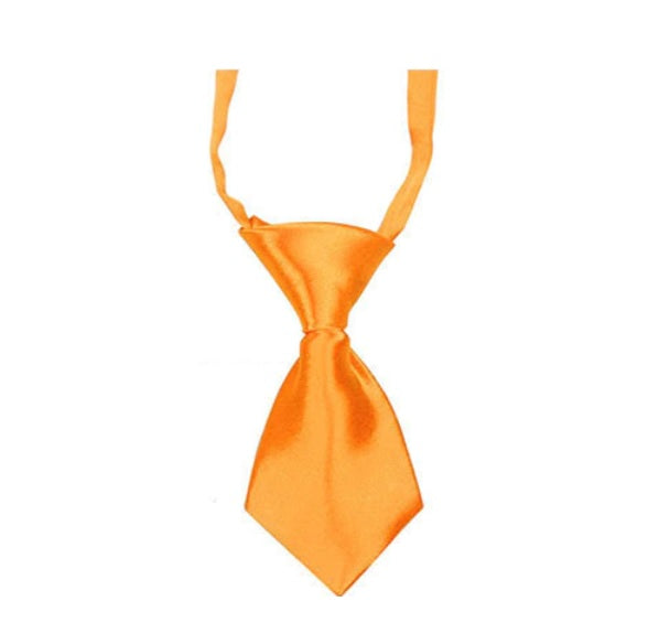 Tie for small dogs - Orange