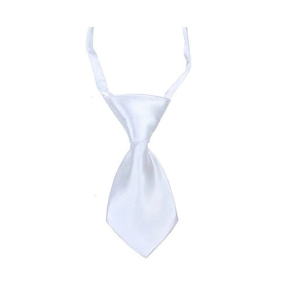 Small Dog Tie - White