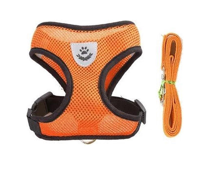 Orange dog harness