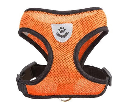 Orange dog harness