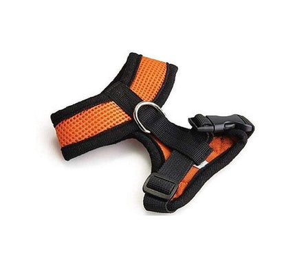 Orange dog harness